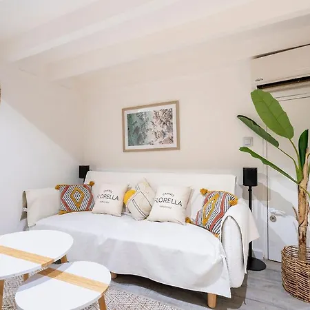 Le Mimosa Mignon En Plein Centre-ville, Emplacement Parfait Pour Votre Sejour Apartment Cannes